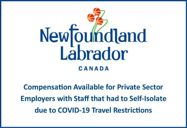 COVID NL Gov Private Sector 1